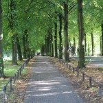 Promenade in Münster